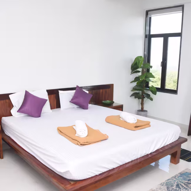 Luxury villa in Old Goa with private pool and valley view